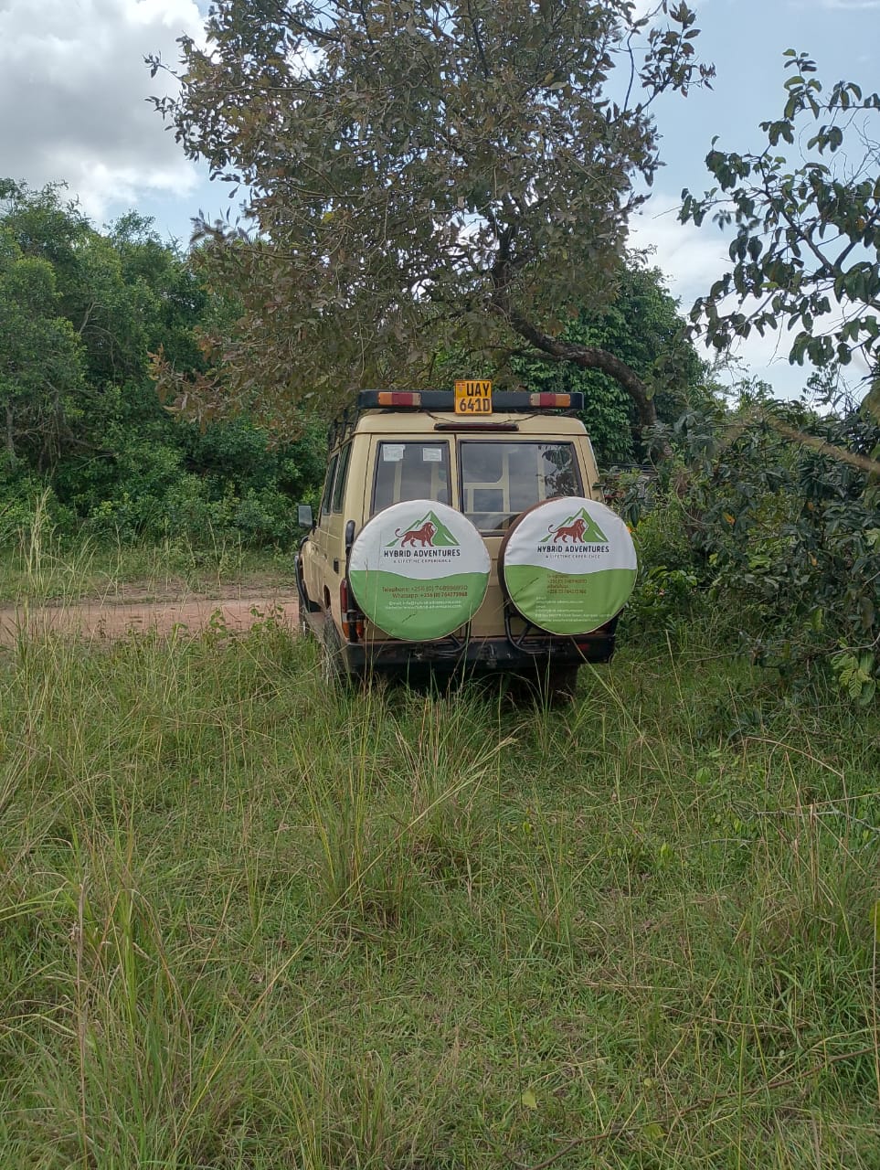4x4 Safari Vehicle Hybrid Adventure