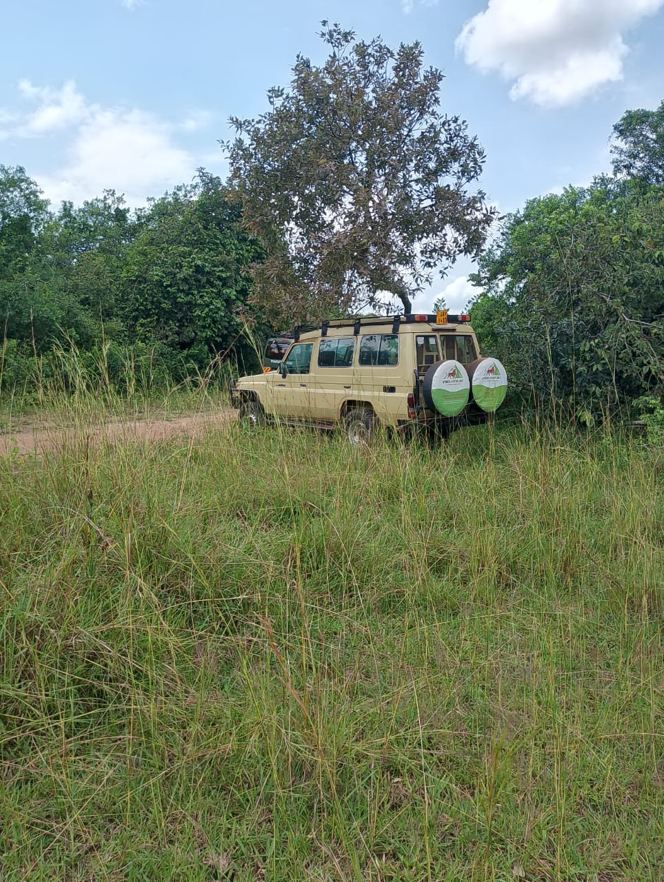Safari Adventure