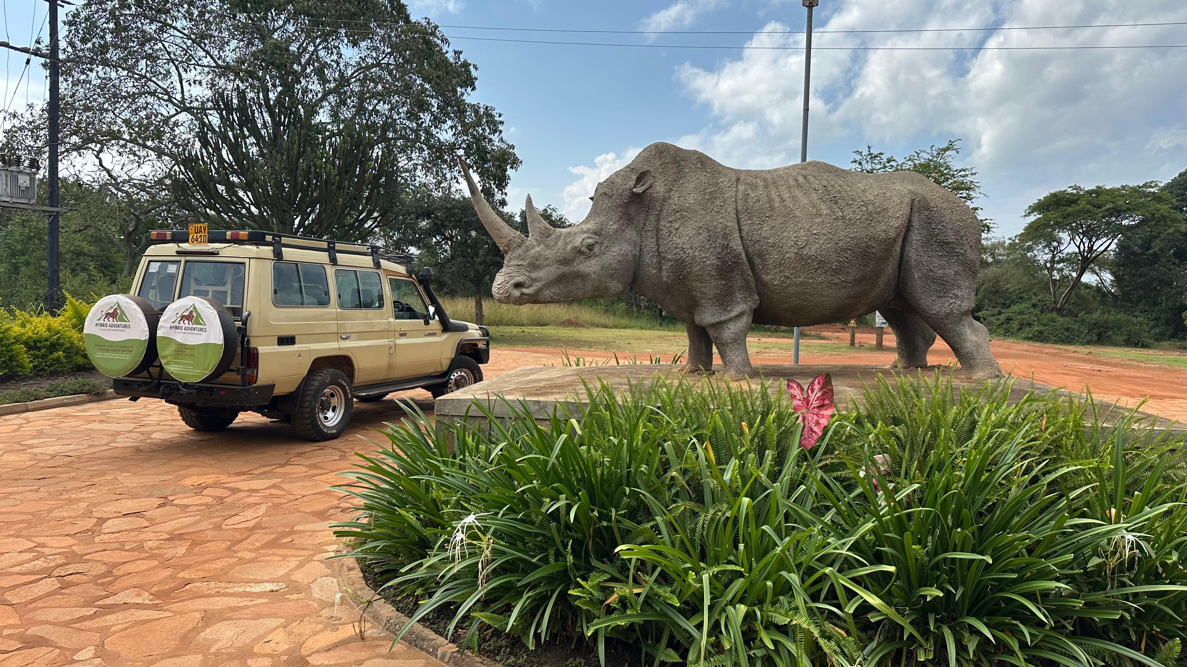 Safari Adventure