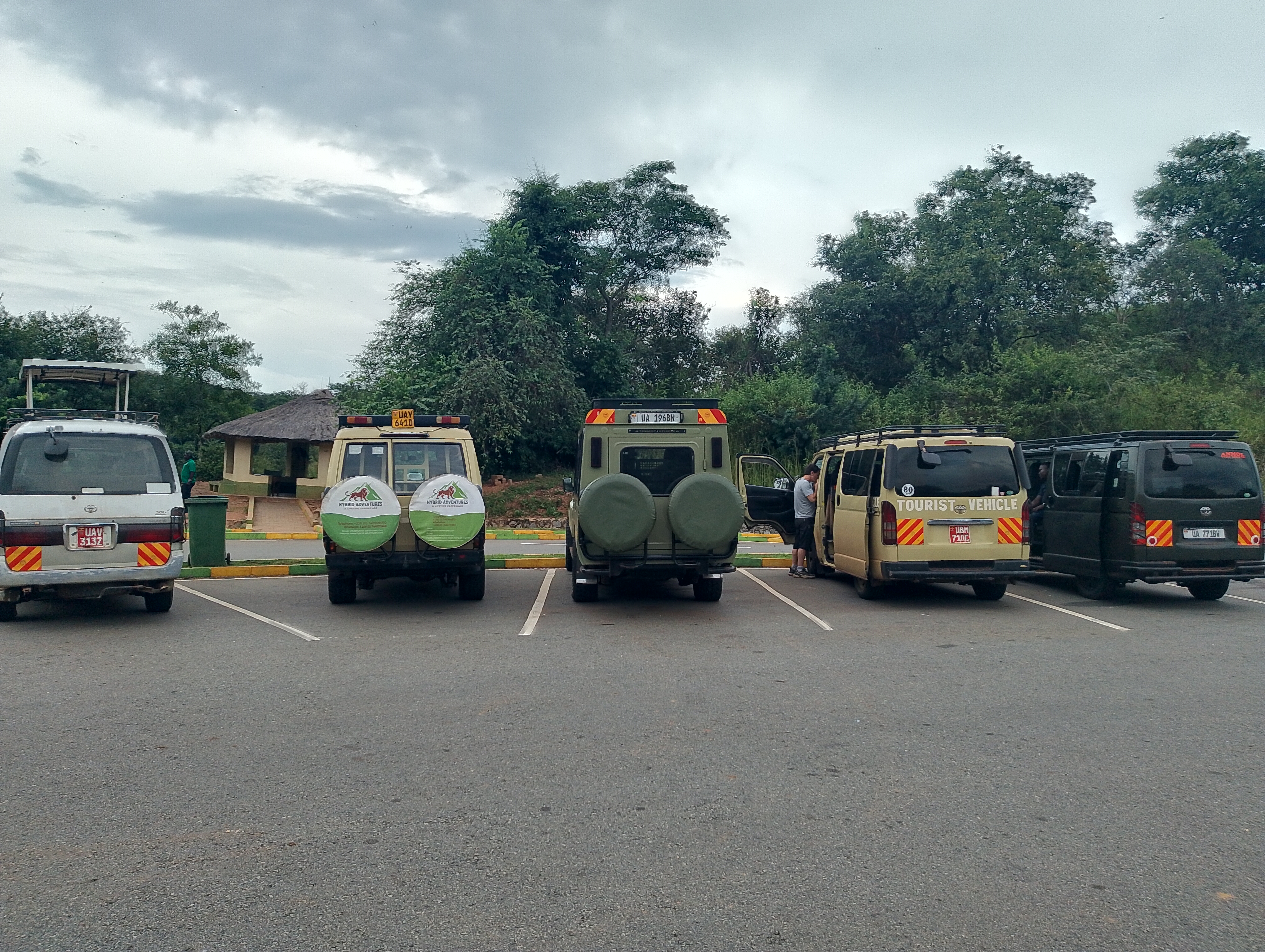 Safari Adventure