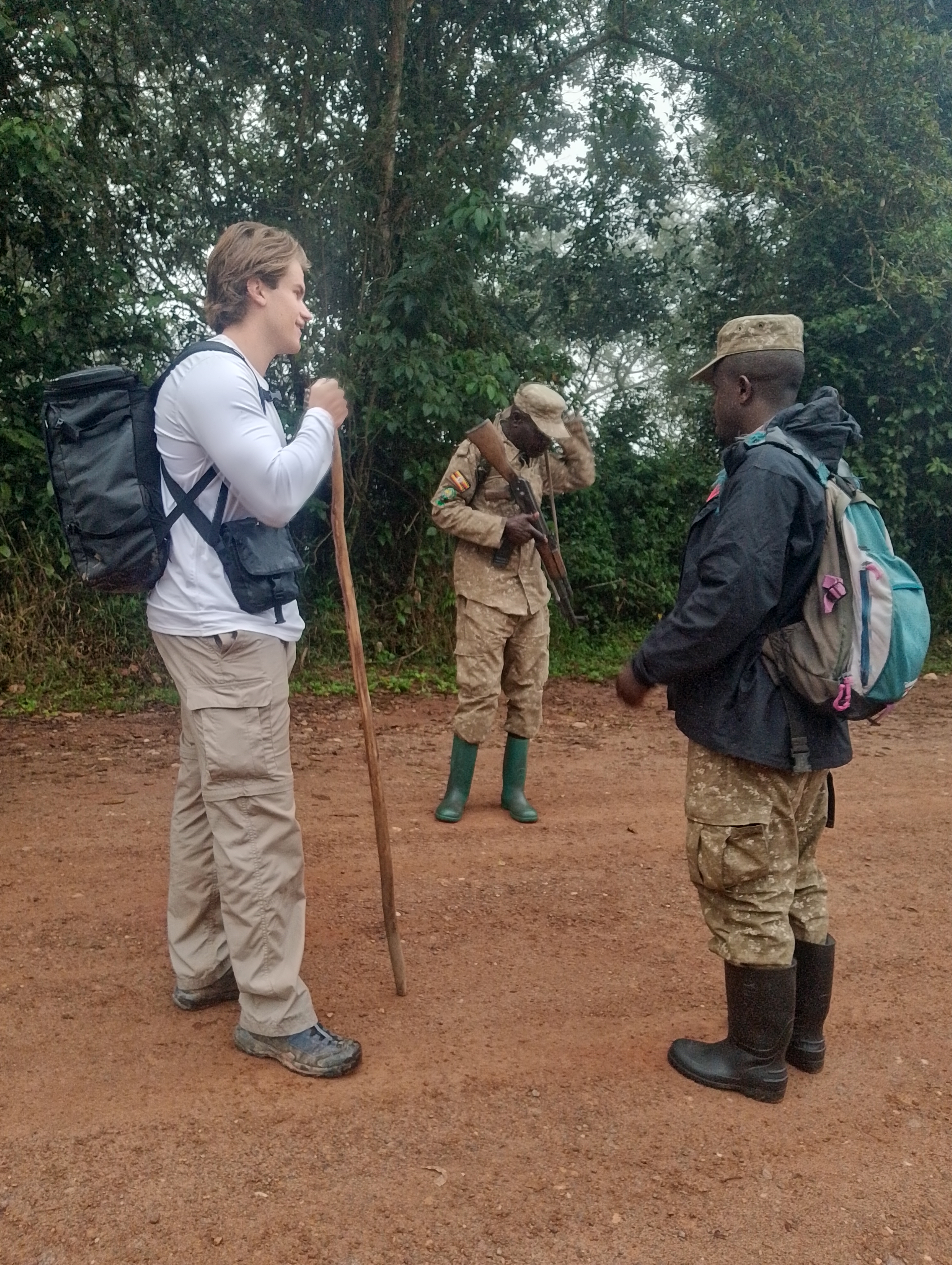 Safari and wildlife photo