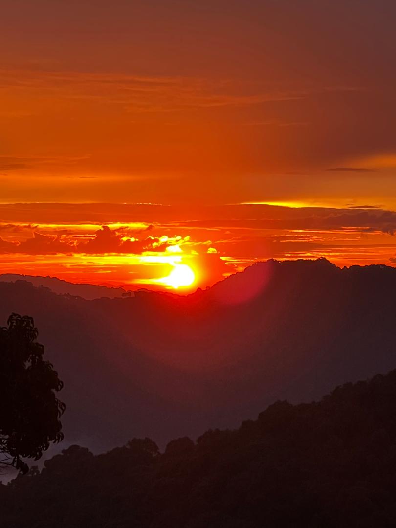 Sunset Evening Tour