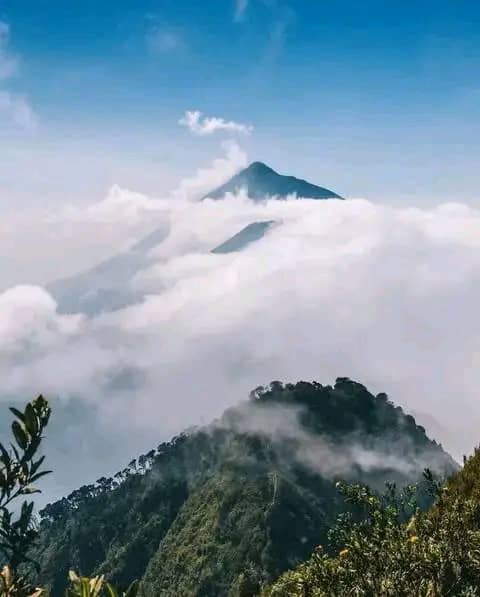 Virunga Mountains Rwanda